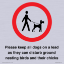 please-keep-all-dogs-on-a-lead-as-they-can-disturb-ground-nesting-birds-and-thei~
